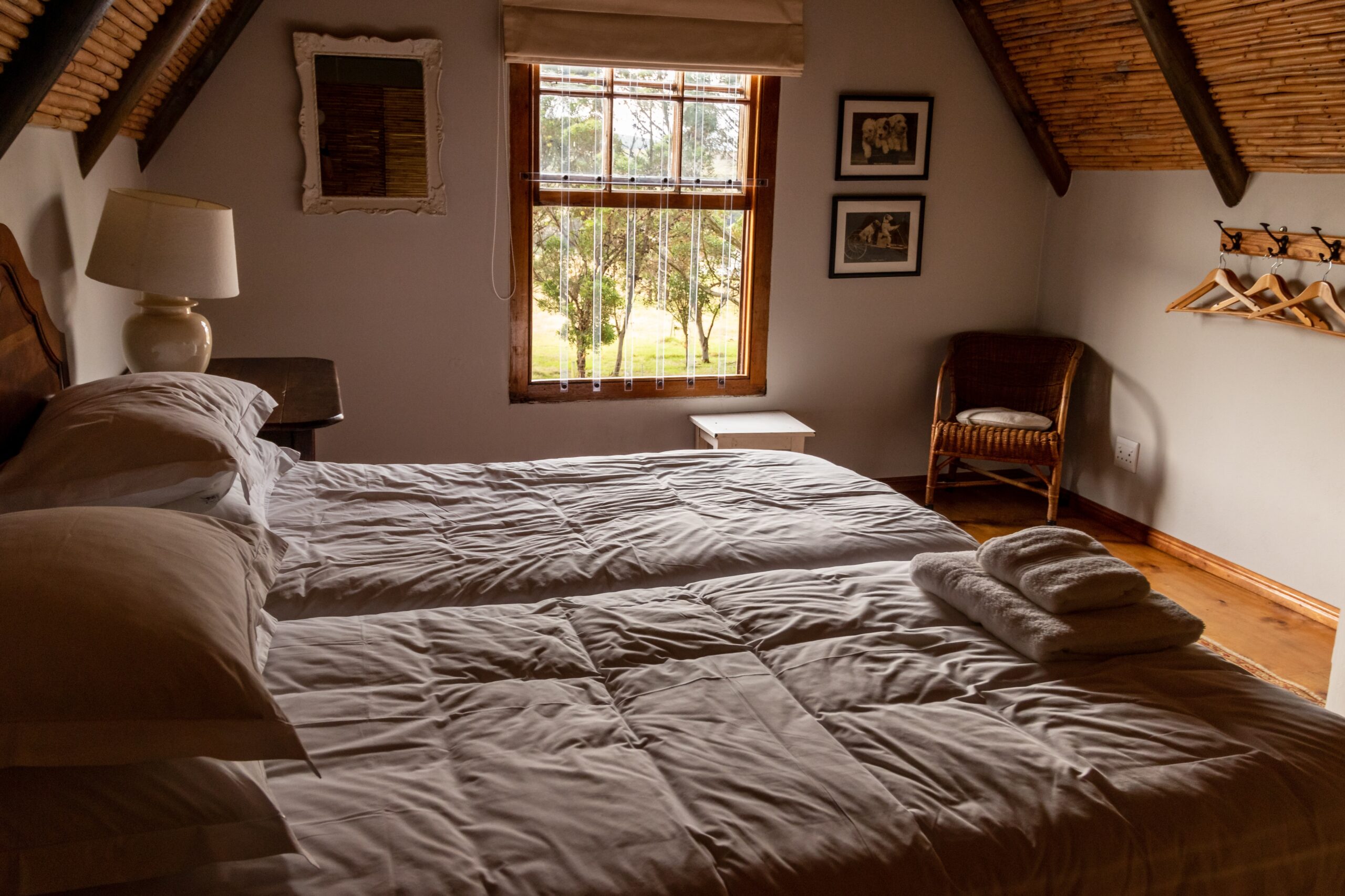 Bed vs Futon: Pros and Cons You Need to Know