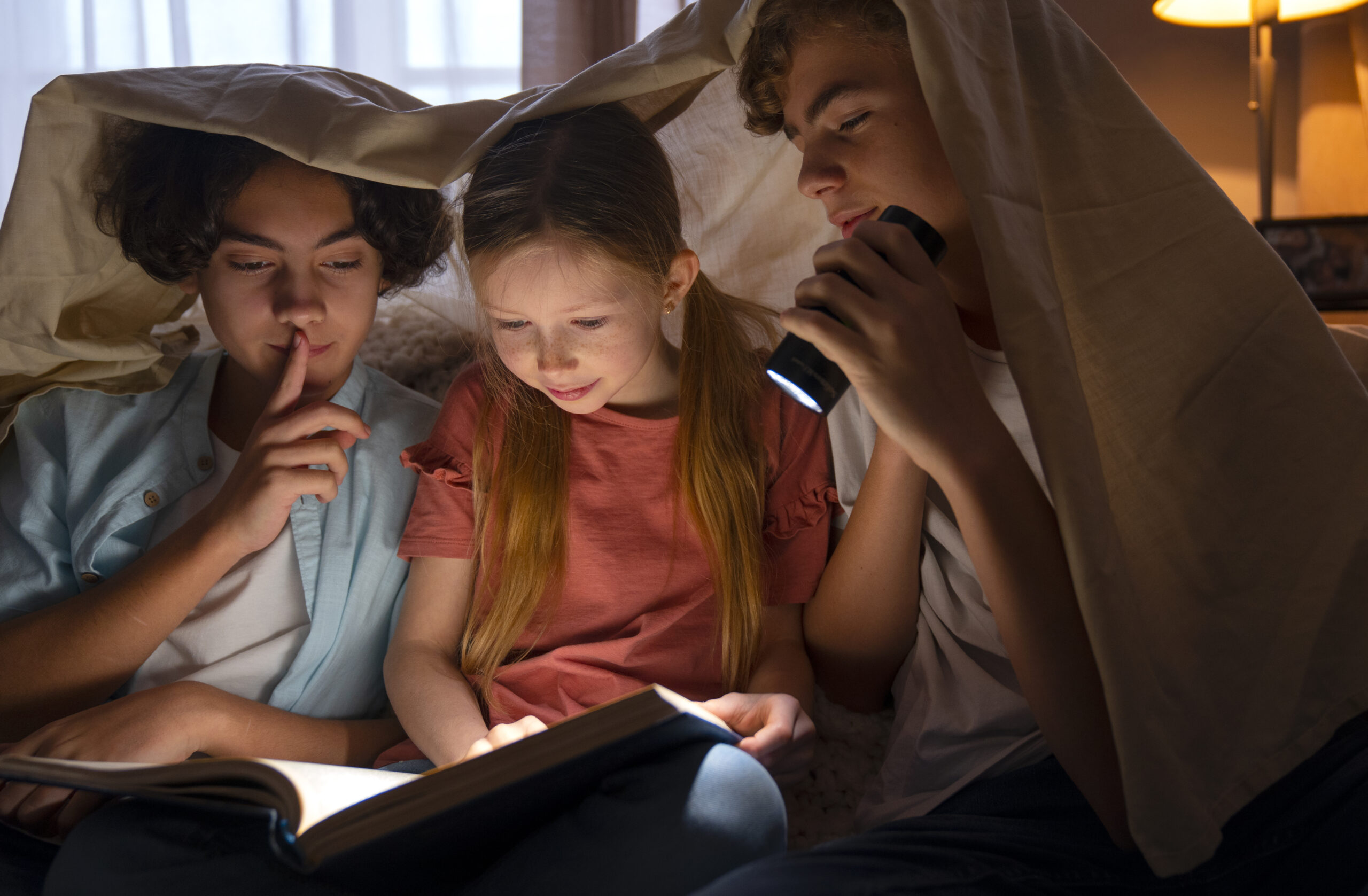 Unraveling the Enigma: 10 Mystery Books for Teens