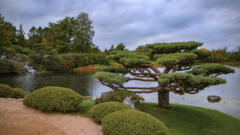 Chicago Botanic Garden: Explore, Discover and Embrace All You Need to Know